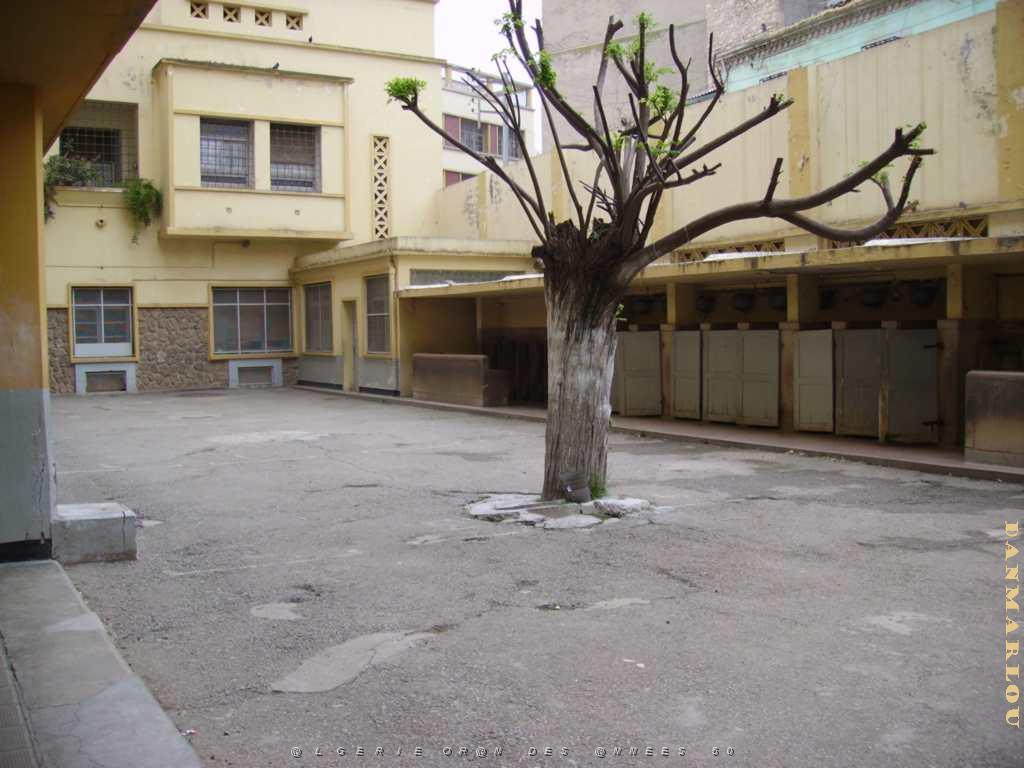 ORAN ECOLE BERTHELOT LA COUR DE RECRE.JPG